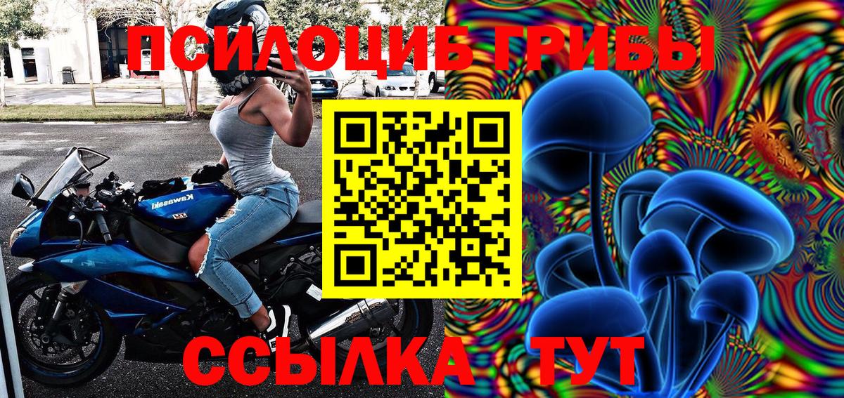Галлюциногенные грибы Cubensis Великие Луки