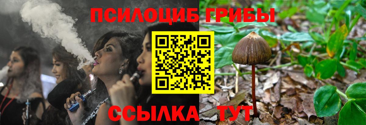 Псилоцибиновые грибы GOLDEN TEACHER  как найти   Великие Луки  Вход с VPN  Галлюциногенные грибы Cubensis 